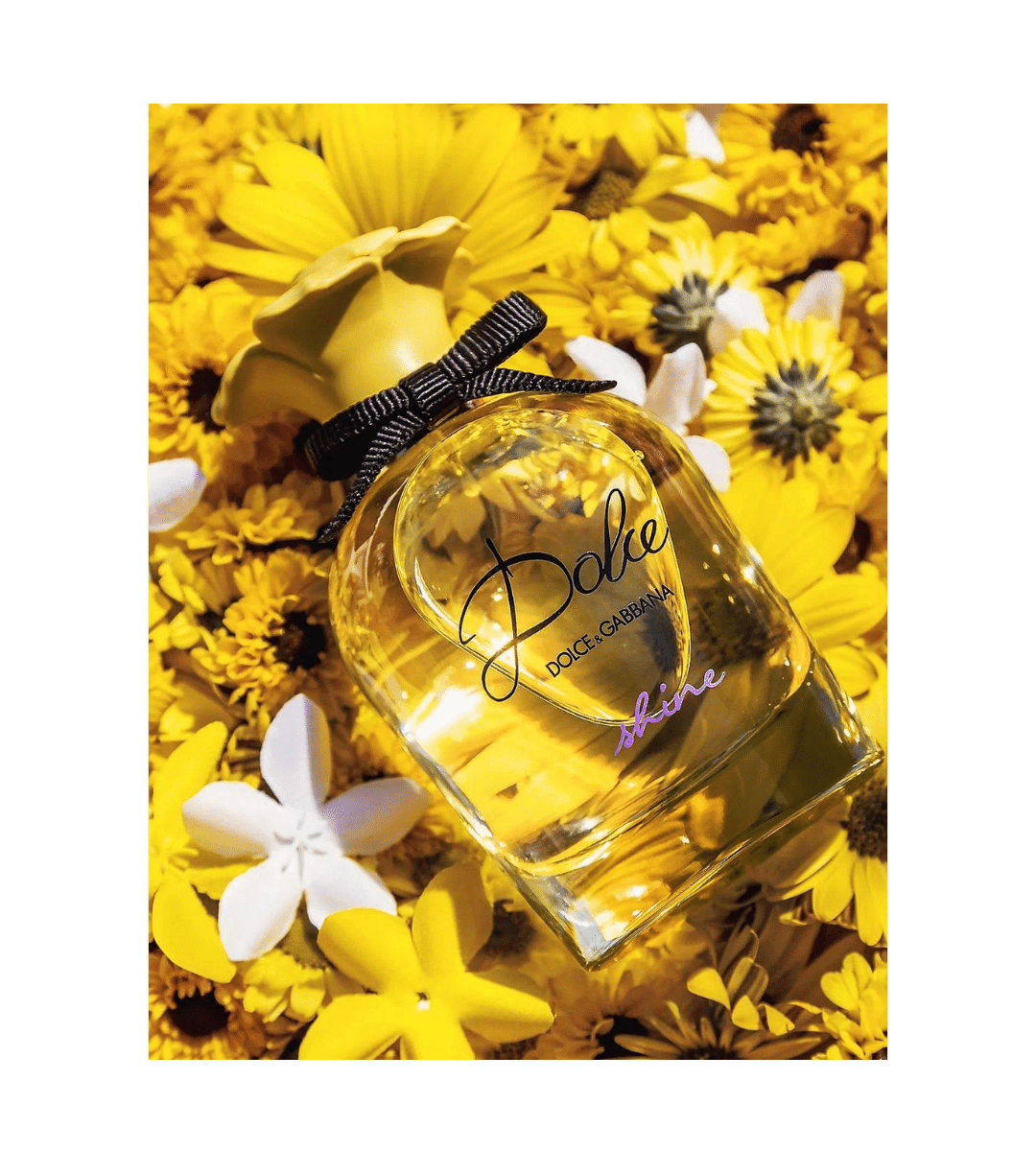 Dolce & Gabbana Dolce Shine Eau de Parfum