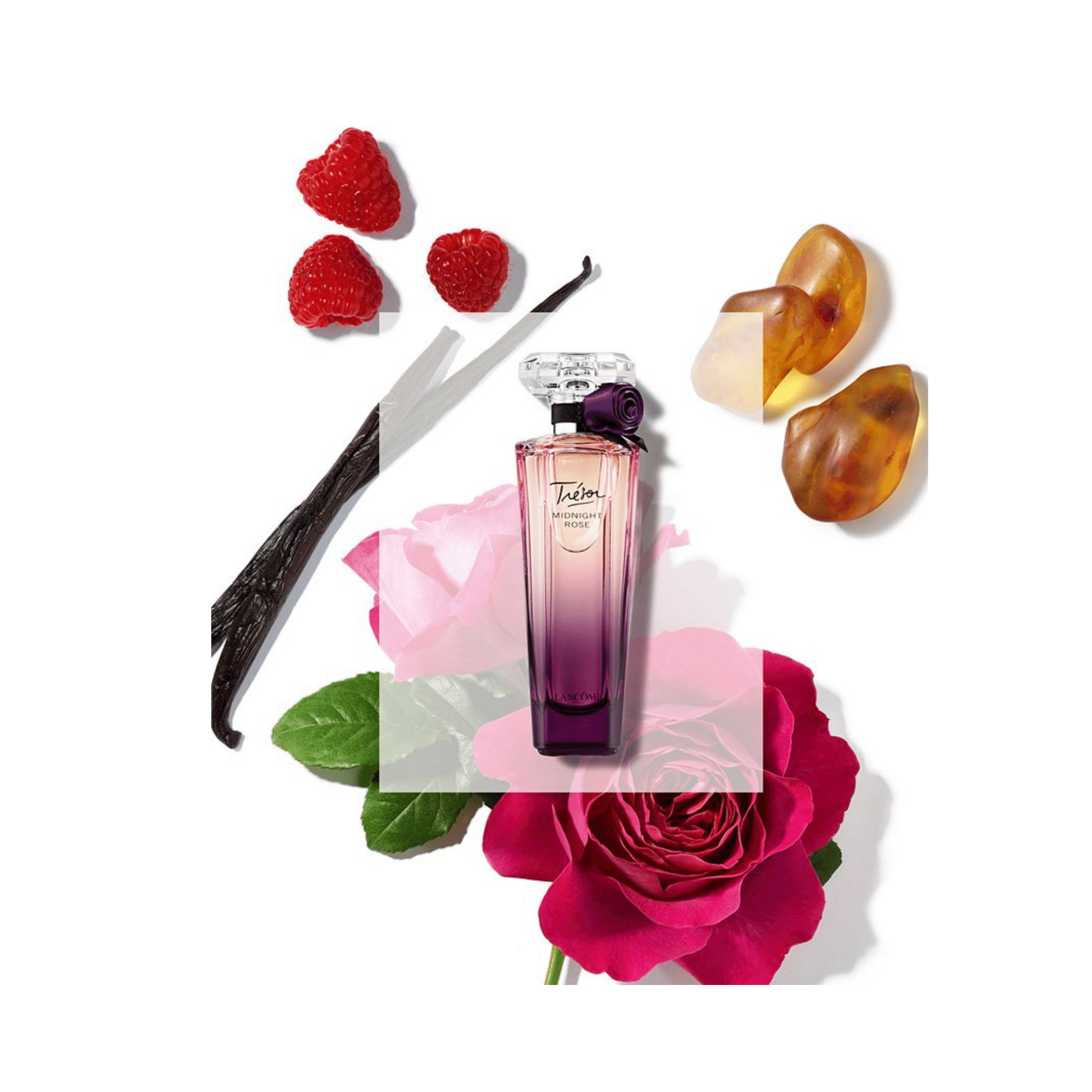 Lancôme Trésor Midnight Rose Eau de Parfum