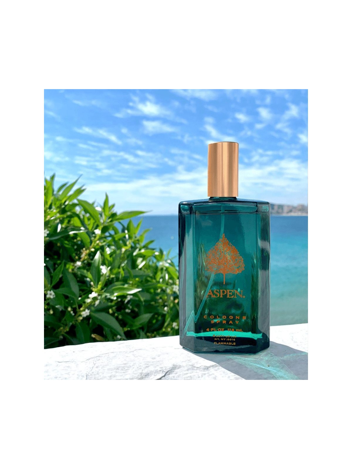 Coty Aspen Eau de Cologne