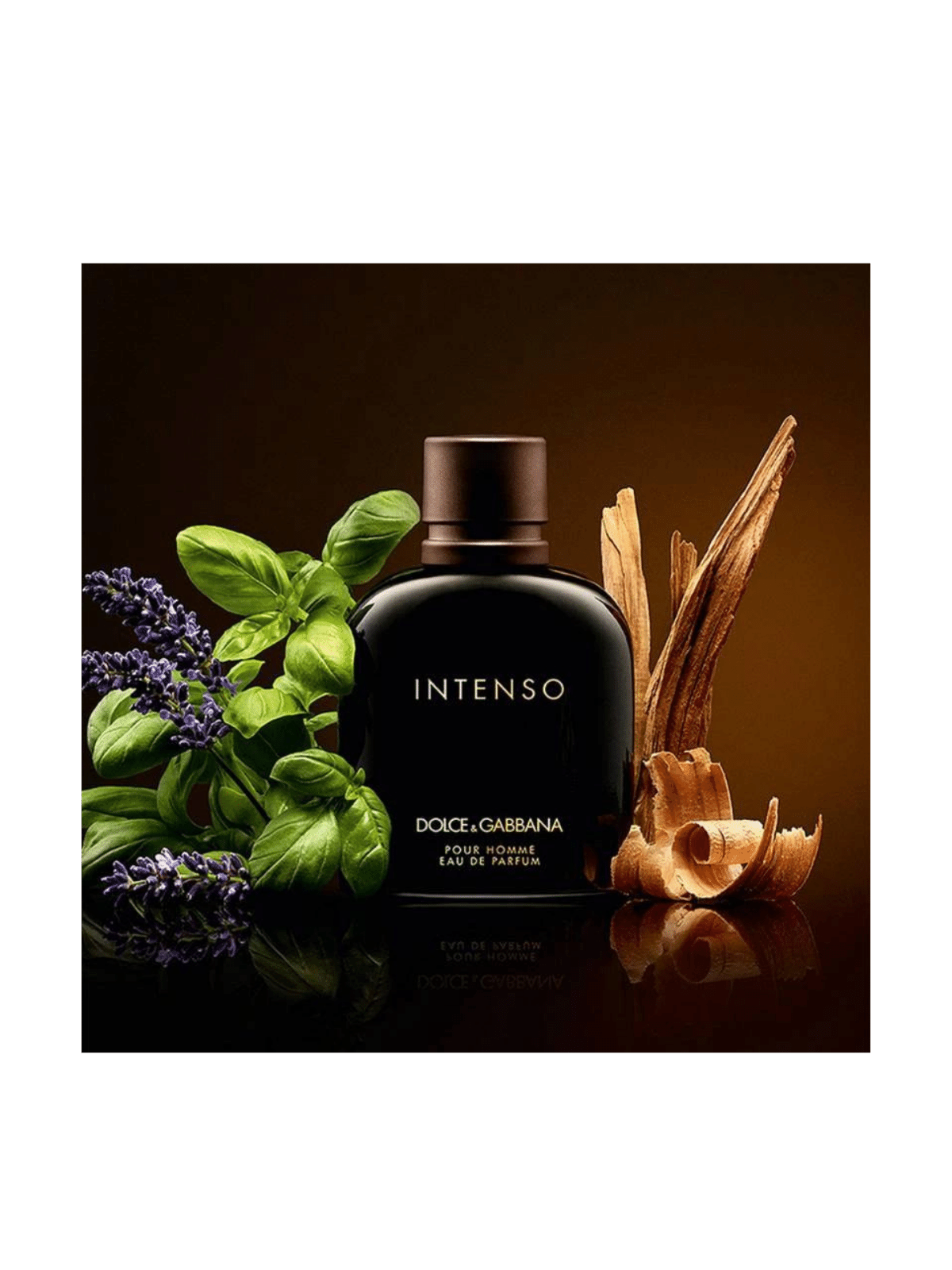 Dolce & Gabbana Intenso Eau de Parfum