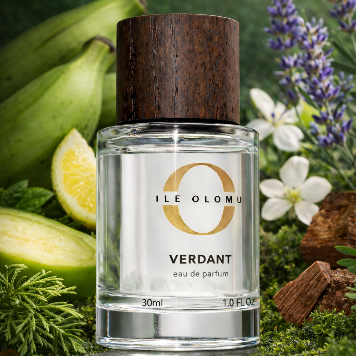 Ilé Olomu Verdant