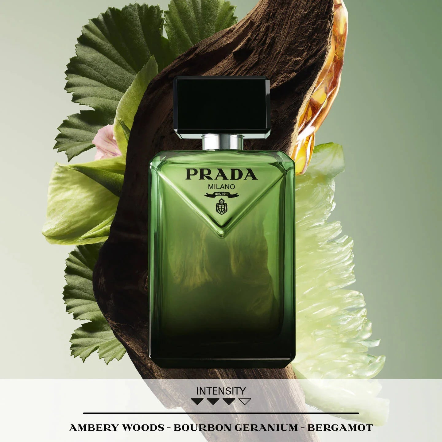 Prada Paradigme