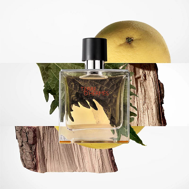 Hermès Terre d’Hermès Eau de Toilette